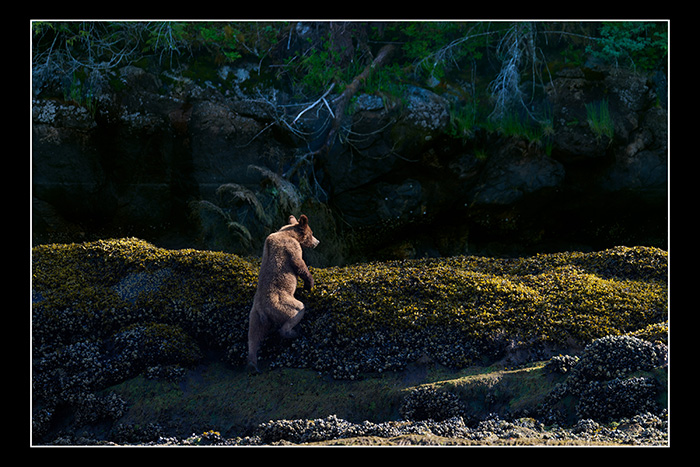 Morning_climb
